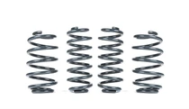 Racingline sport spring set