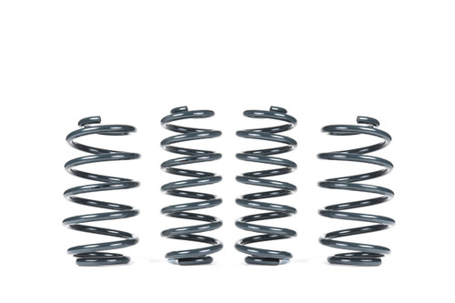 Racingline sport springs set