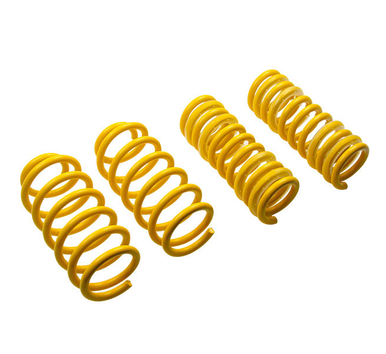 Rear Lowering Coil Springs Mini Clubman (F54)