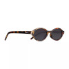 Cassette Eyewear - Tempo - Demi Tortoise/Smoke Lens