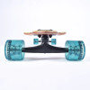 Sector 9 Fractal Flipside Complete Longboard