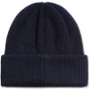 Polar Double Fold Merino Beanie