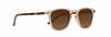 Cassette Eyewear - Standard - Champagne Tortoise/Brown Lens