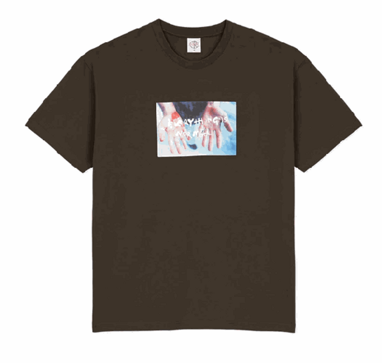 Polar Commitment Brown Tshirt LG
