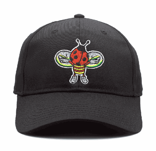 Limosine Bug Black Hat
