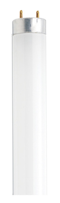 Satco - S26514 - Light Bulb - White