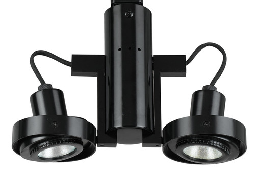 Cal Lighting - HT-962/MR-16-BK - Two Light Track Fixture - Black