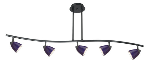 Cal Lighting - SL-954-5-DB/BLS - Five Light Pendant - Serpentine - Dark Bronze