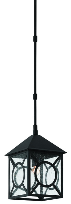 Currey and Company - 9500-0007 - One Light Outdoor Lantern - Ripley Collection - Midnight