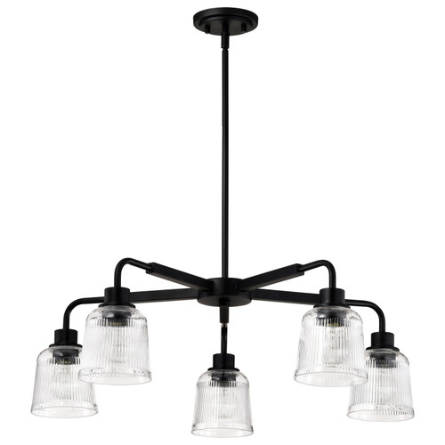 Nuvo Lighting - 60-8611 - Five Light Chandelier - Grayson - Matte Black
