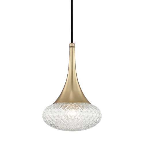 manufacturer_finish:Aged Brass|manufacturer_glass:Clear Optic