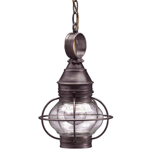 Northeast Lantern - 2512-DB-MED-CSG - One Light Hanging Lantern - Onion - Dark Brass
