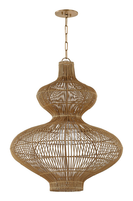 Troy Lighting - F3828-PBR - One Light Pendant - Irvine - Patina Brass
