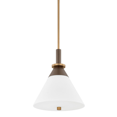 Troy Lighting - F4216-PBR/BRZ - One Light Pendant - Staton - Patina Brass