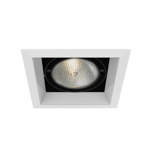 Eurofase - TE131-02 - MULTPAR30TRM1LT75WWH/BLK - PAR30MULTI-GEN - White