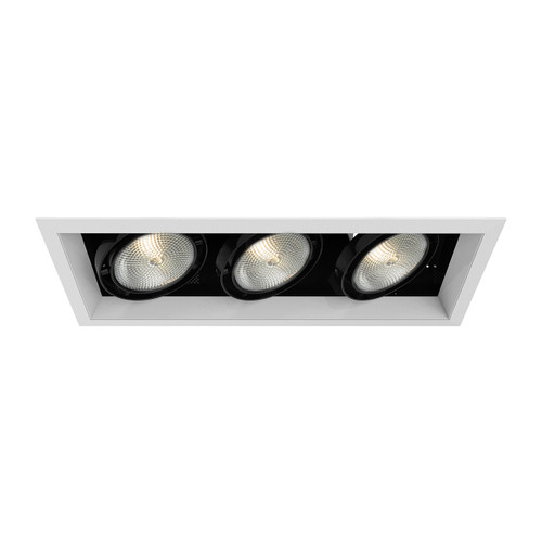 Eurofase - TE133-02 - MULTPAR30TRM3LT75WWT/BLK - PAR30MULTI-GEN - White