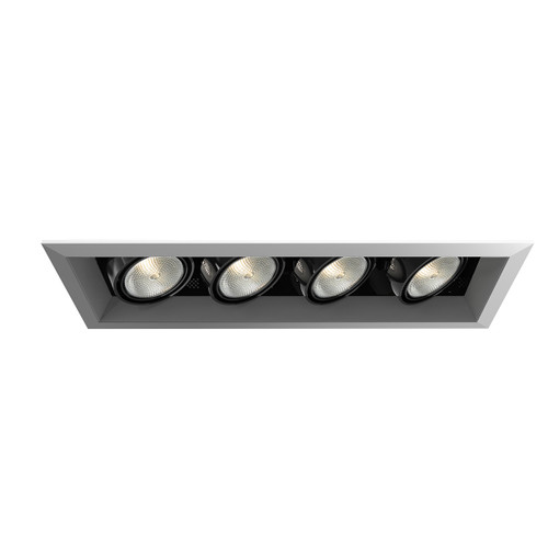 Eurofase - TE164A-0N - MULTPAR20TRM4LT50WPT/BLK - PAR20MULTI-GEN - Platinum