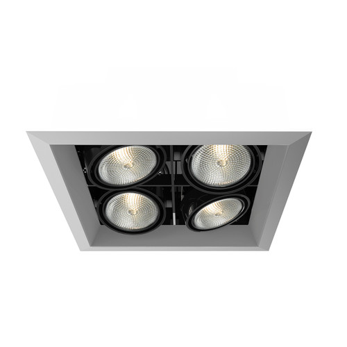 Eurofase - TE164B-0N - MULTPAR20TRM4LTSQPT/BLK - PAR20MULTI-GEN - Platinum