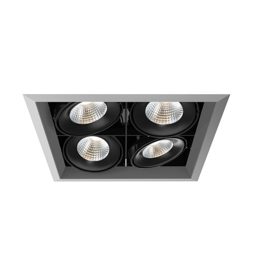 Eurofase - TE134BLED-40-4-0N - MULT26WTRM4LT40KPT/BLK - TE SERIES - Platinum