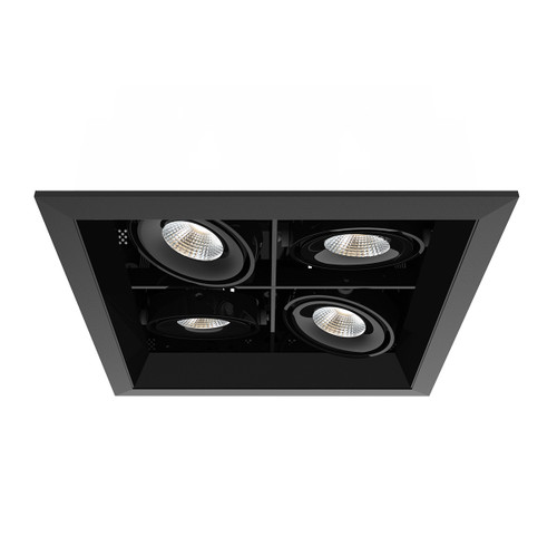 Eurofase - TE164BLED-40-2-01 - LED Recessed Multiple - 15W Multi - Black