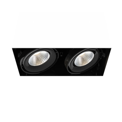 Eurofase - TE222LED-40-2-01 - MULT26WTRMLS2LT40KBLK - TE SERIES - Black