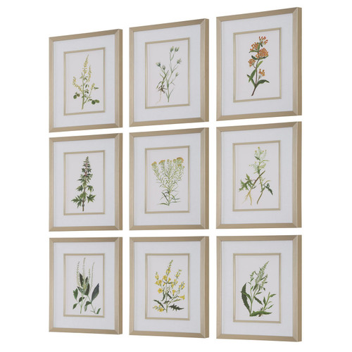 Uttermost - 32339 - Framed Prints S/9 - Botanical Flowers - Champagne Gold