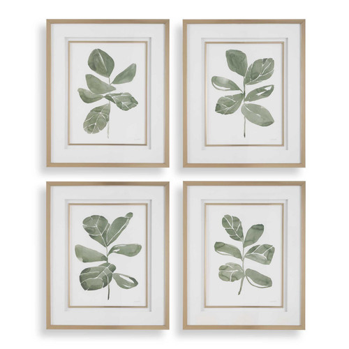 Uttermost - 32454 - Prints Set/4 - Fiddle Head - Golden