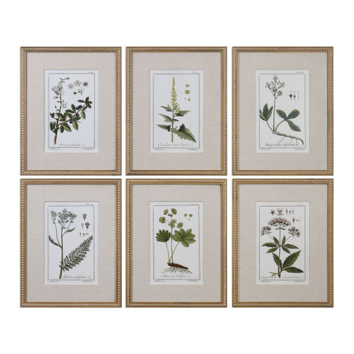 Uttermost - 33651 - Wall Art - Green Floral Botanical Study - Gold Leaf