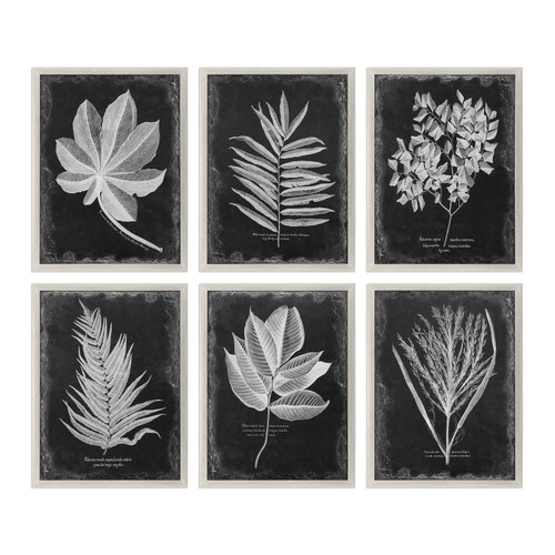 Uttermost - 33671 - Wall Art - Foliage - Champagne Silver
