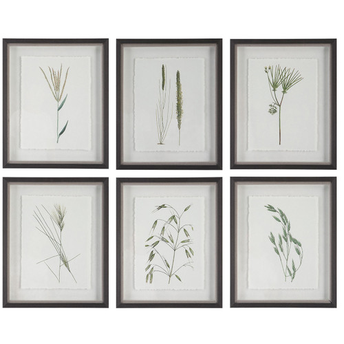 Uttermost - 41459 - Framed Prints S/6 - Forest Finds - Dark Espresso
