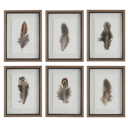 Uttermost - 41460 - Framed Prints S/6 - Birds Of A Feather - Natural Wood Tone