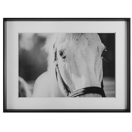 Uttermost - 41464 - Framed Print - Eyes On The Prize - Satin Black Chamfered Edge