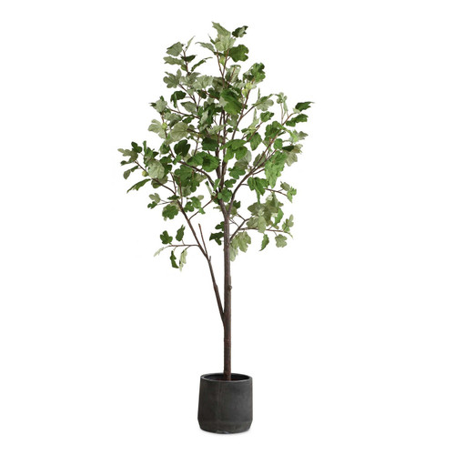 Uttermost - 60246 - Tree - Eden - Black
