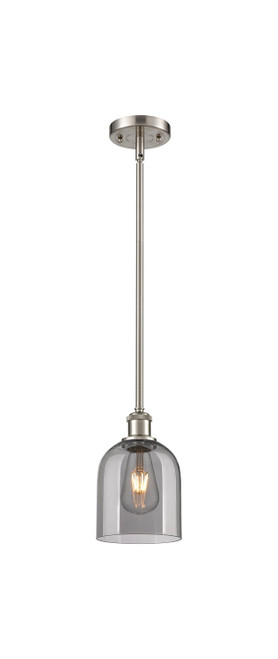 manufacturer_finish:Brushed Satin Nickel|manufacturer_glass:Light Smoke|light_output:220.00lm|color_temperature:2200K|cri:99