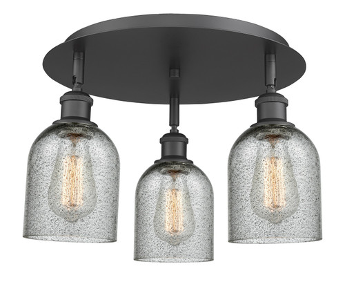 manufacturer_finish:Matte Black|manufacturer_glass:Charcoal Caledonia