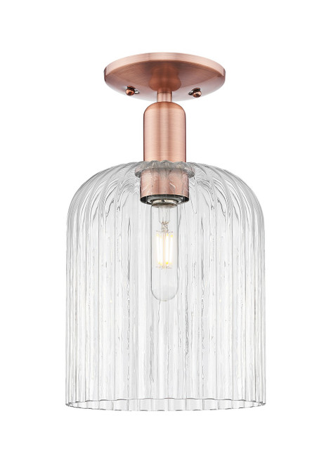 Innovations - 716-1C-AC-G559-8CL - One Light Semi-Flush Mount - Arcadia - Antique Copper