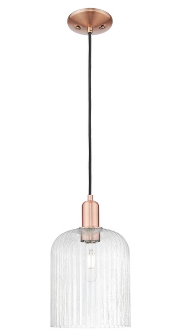 Innovations - 716-1P-AC-G559-8SDY - One Light Mini Pendant - Arcadia - Antique Copper