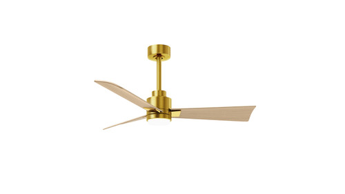 Matthews Fan Company - AKLK-BRBR-LM-42 - 42 Ceiling Fan - Alessandra - LK - Brushed Brass