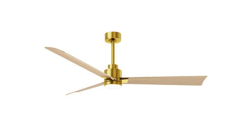 Matthews Fan Company - AKLK-BRBR-LM-56 - 56 Ceiling Fan - Alessandra - LK - Brushed Brass