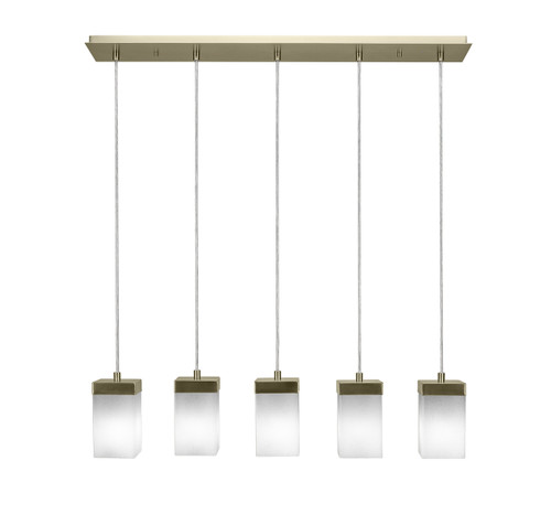 Toltec Lighting - 3215-NAB-531 - Five Light Linear Pendalier - Nouvelle - New Age Brass