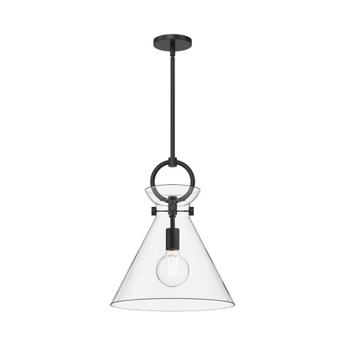 manufacturer_finish:Matte Black/Clear Glass|manufacturer_glass:Clear Glass