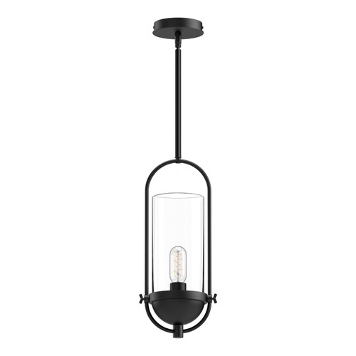 manufacturer_finish:Clear Glass/Matte Black