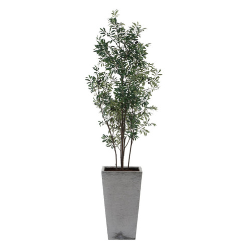Uttermost - 60269 - Planter - Sonora Olive - Silvery-green
