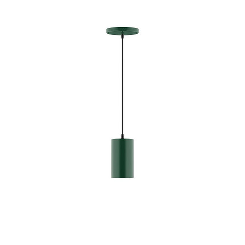 Montclair Light Works - PEB425-42-L10 - LED Pendant - Beam - Forest Green
