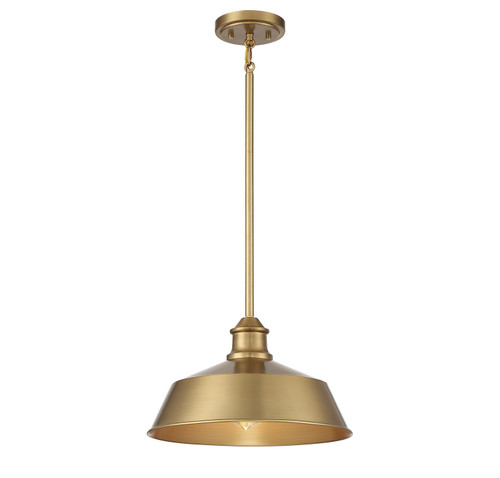 Meridian - M7021NB - One Light Pendant - Natural Brass