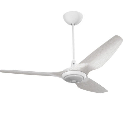 Big Ass Fans - MK-HK4-052406A259F772G10I32S2 - 60Ceiling Fan Kit - Haiku - White