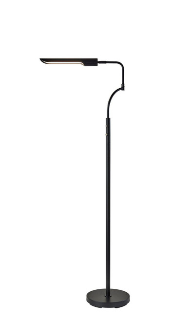 Adesso Home - 3958-01 - LED Floor Lamp - Zane - Black