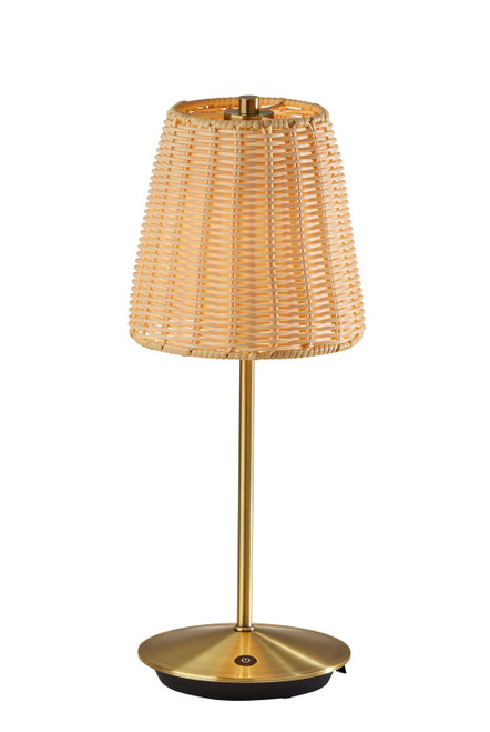 Adesso Home - 4074-21 - LED Table Lamp - Andy - Antique Brass