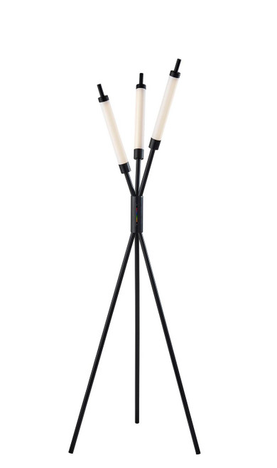 Adesso Home - 4299-01 - LED Floor Lamp - Collin - Black