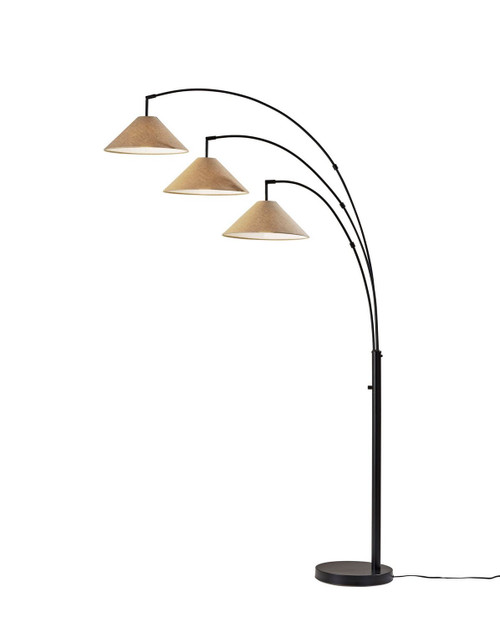 Adesso Home - 4137-26 - Three Light Floor Lamp - Braxton - Dark Bronze